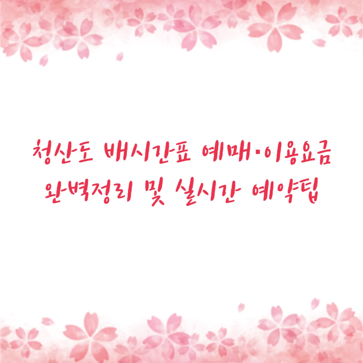 청산도 배시간표 예매·이용요금 완벽정리 및 실시간 예약팁