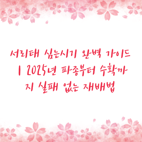 코레일 기차 예매 정책·할인 조건 총정리｜2025년 달라진 점과 혜택까지