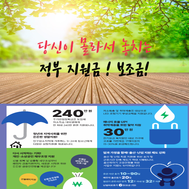 정부지원금