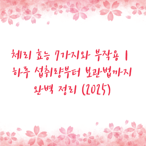 체리 효능 7가지와 부작용｜하루 섭취량부터 보관법까지 완벽 정리 (2025)