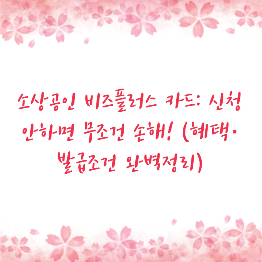 소상공인 비즈플러스 카드: 신청 안하면 무조건 손해! (혜택·발급조건 완벽정리)
