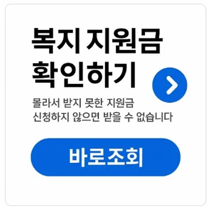정부지원금