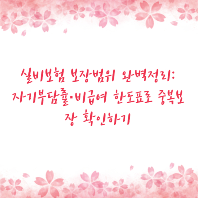 실비보험 보장범위 완벽정리: 자기부담률·비급여 한도표로 중복보장 확인하기