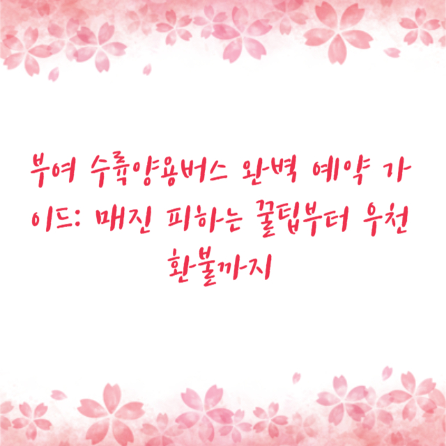 부여 수륙양용버스 완벽 예약 가이드: 매진 피하는 꿀팁부터 우천 환불까지