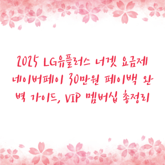 2025 LG유플러스 너겟 요금제 네이버페이 30만원 페이백 완벽 가이드, VIP 멤버십 총정리