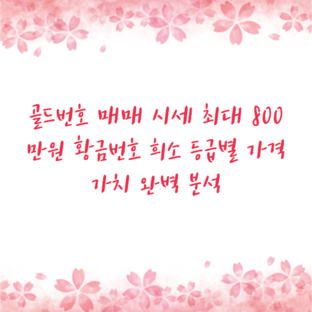 골드번호 매매 시세 최대 800만원 황금번호 희소 등급별 가격 가치 완벽 분석