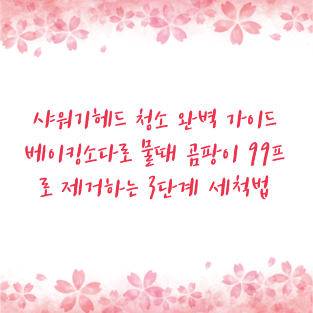 샤워기헤드 청소 완벽 가이드 베이킹소다로 물때 곰팡이 99프로 제거하는 3단계 세척법