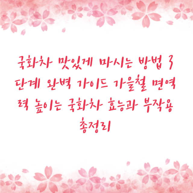 국화차 맛있게 마시는 방법 3단계 완벽 가이드 가을철 면역력 높이는 국화차 효능과 부작용 총정리