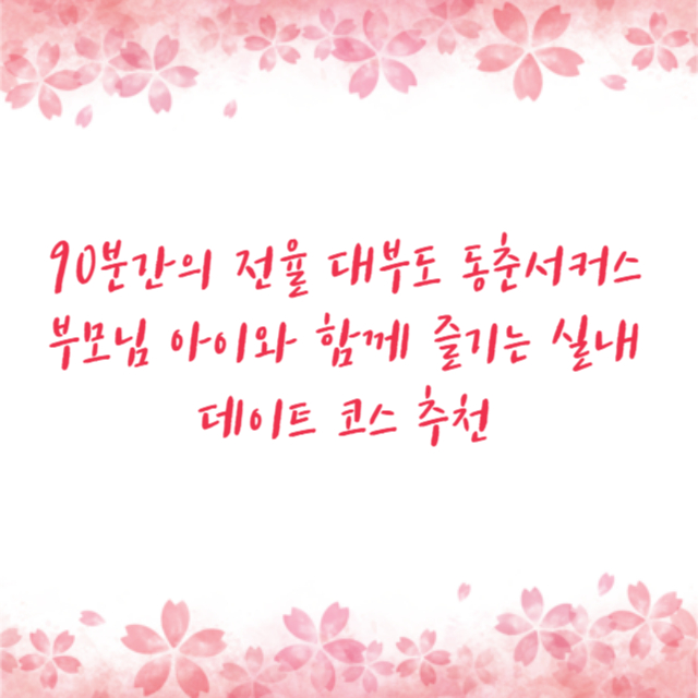 90분간의 전율 대부도 동춘서커스 부모님 아이와 함께 즐기는 실내 데이트 코스 추천