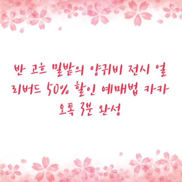 반 고흐 밀밭의 양귀비 전시 얼리버드 50% 할인 예매법 카카오톡 3분 완성