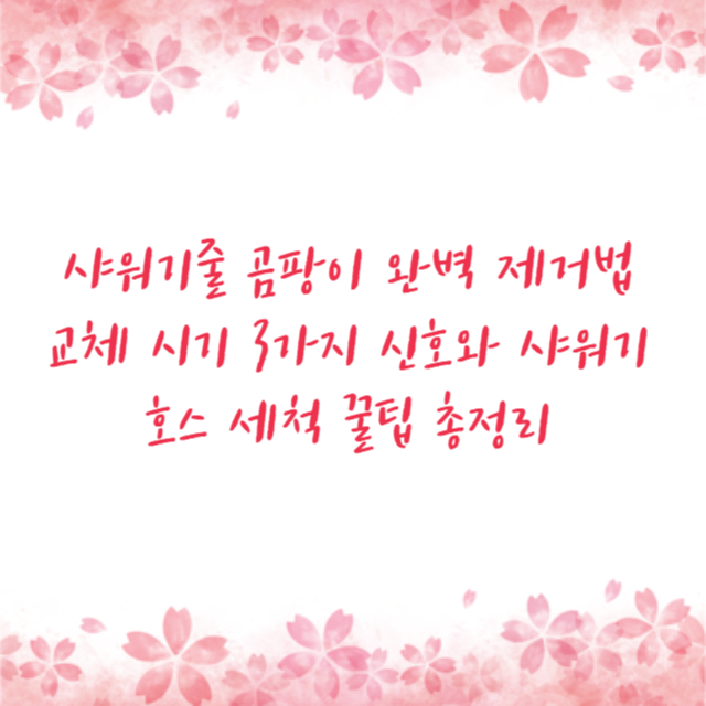 샤워기줄 곰팡이 완벽 제거법 교체 시기 3가지 신호와 샤워기호스 세척 꿀팁 총정리