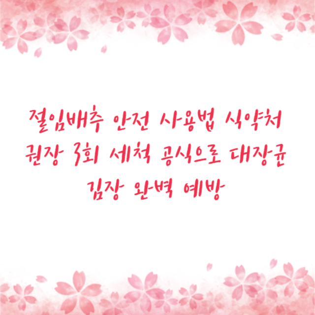 절임배추 안전 사용법 식약처 권장 3회 세척 공식으로 대장균 김장 완벽 예방