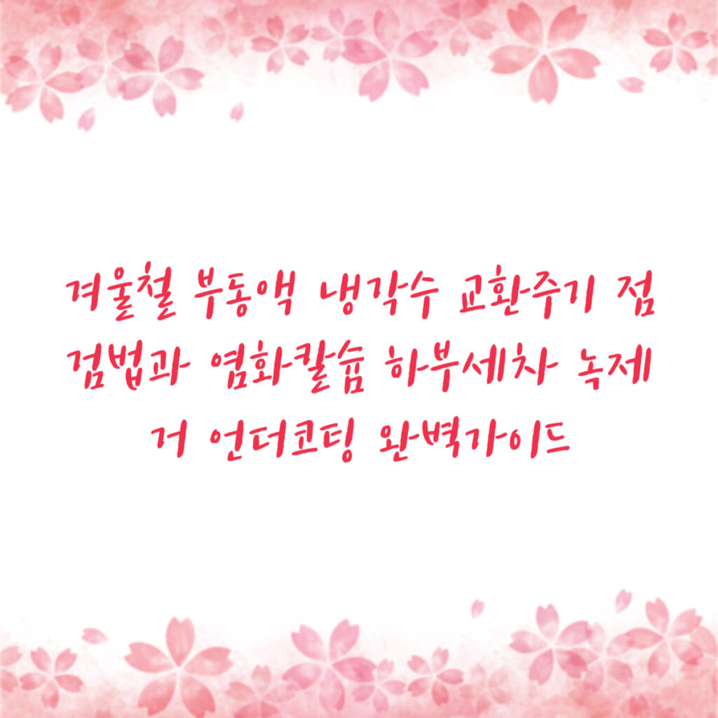 겨울철 부동액 냉각수 교환주기 점검법과 염화칼슘 하부세차 녹제거 언더코팅 완벽가이드