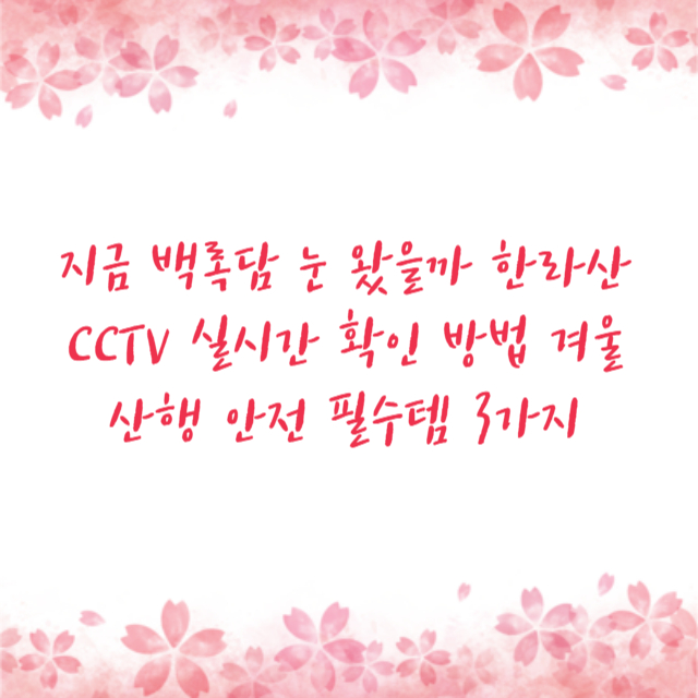 지금 백록담 눈 왔을까 한라산 CCTV 실시간 확인 방법 겨울 산행 안전 필수템 3가지