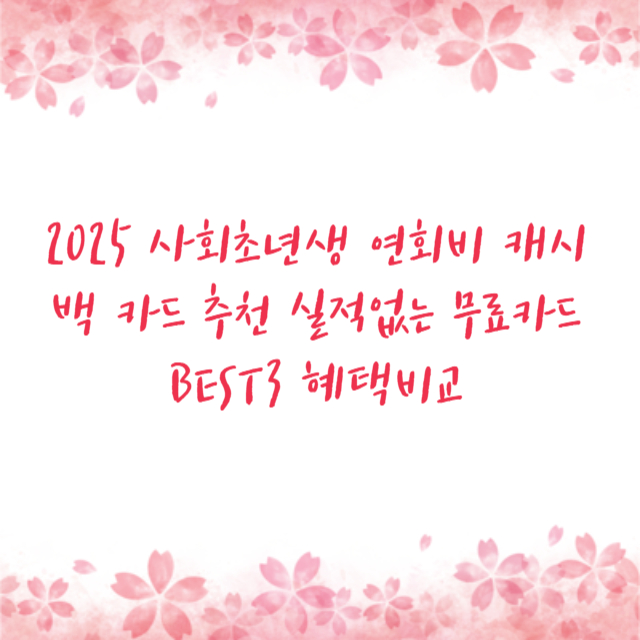 2025 사회초년생 연회비 캐시백 카드 추천 실적없는 무료카드 BEST3 혜택비교