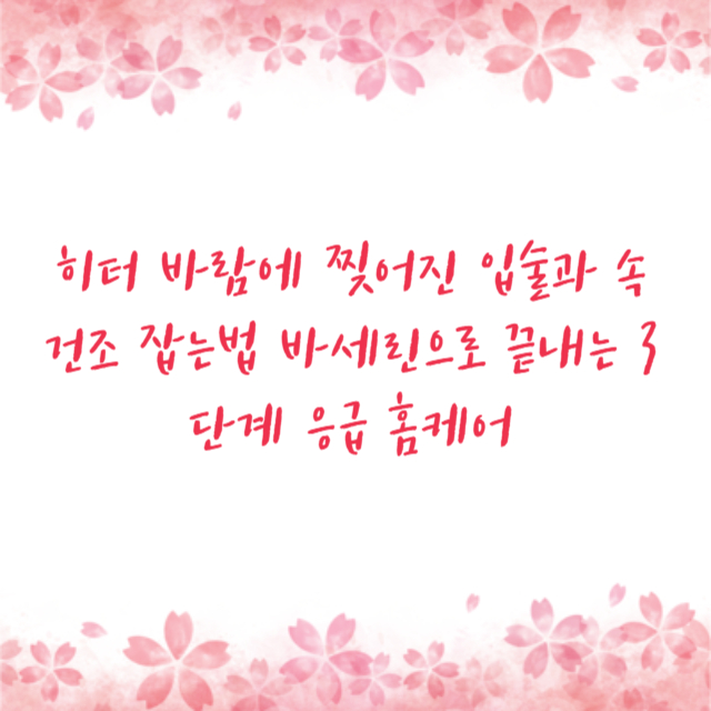 히터 바람에 찢어진 입술과 속건조 잡는법 바세린으로 끝내는 3단계 응급 홈케어