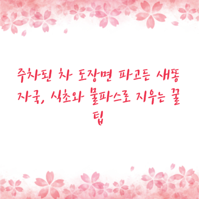 주차된 차 도장면 파고든 새똥 자국, 식초와 물파스로 지우는 꿀팁