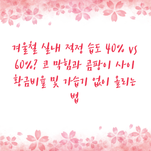 겨울철 실내 적정 습도 40% vs 60%? 코 막힘과 곰팡이 사이 황금비율 및 가습기 없이 올리는 법