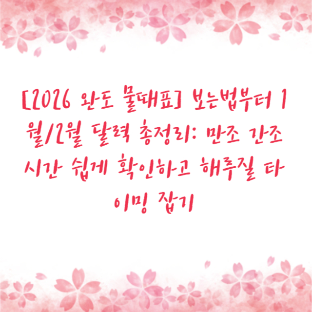 [2026 완도 물때표] 보는법부터 1월/2월 달력 총정리: 만조 간조 시간 쉽게 확인하고 해루질 타이밍 잡기