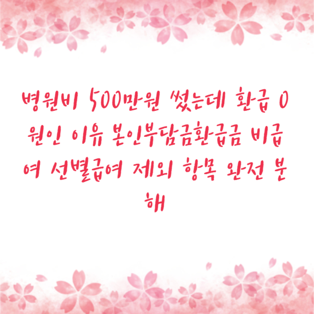 병원비 500만원 썼는데 환급 0원인 이유 본인부담금환급금 비급여 선별급여 제외 항목 완전 분해