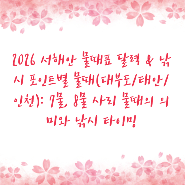 2026 서해안 물때표 달력 & 낚시 포인트별 물때(대부도/태안/인천): 7물, 8물 사리 물때의 의미와 낚시 타이밍