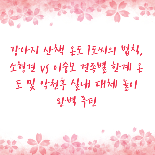 강아지 산책 온도 1도씨의 법칙, 소형견 vs 이중모 견종별 한계 온도 및 악천후 실내 대체 놀이 완벽 루틴