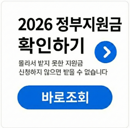 정부지원금