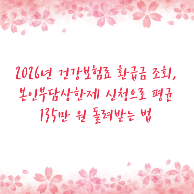 2026년 건강보험료 환급금 조회, 본인부담상한제 신청으로 평균 135만 원 돌려받는 법