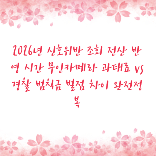 2026년 신호위반 조회 전산 반영 시간 무인카메라 과태료 vs 경찰 범칙금 벌점 차이 완전정복