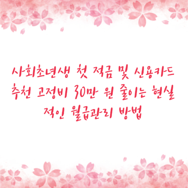 사회초년생 첫 적금 및 신용카드 추천 고정비 30만 원 줄이는 현실적인 월급관리 방법