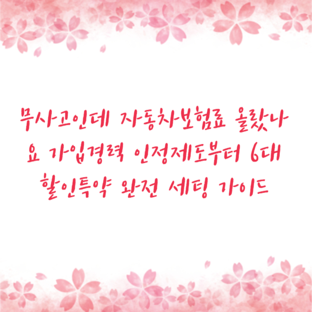 무사고인데 자동차보험료 올랐나요 가입경력 인정제도부터 6대 할인특약 완전 세팅 가이드