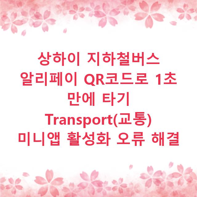 상하이 지하철버스 알리페이 QR코드로 1초 만에 타기 Transport(교통) 미니앱 활성화 오류 해결